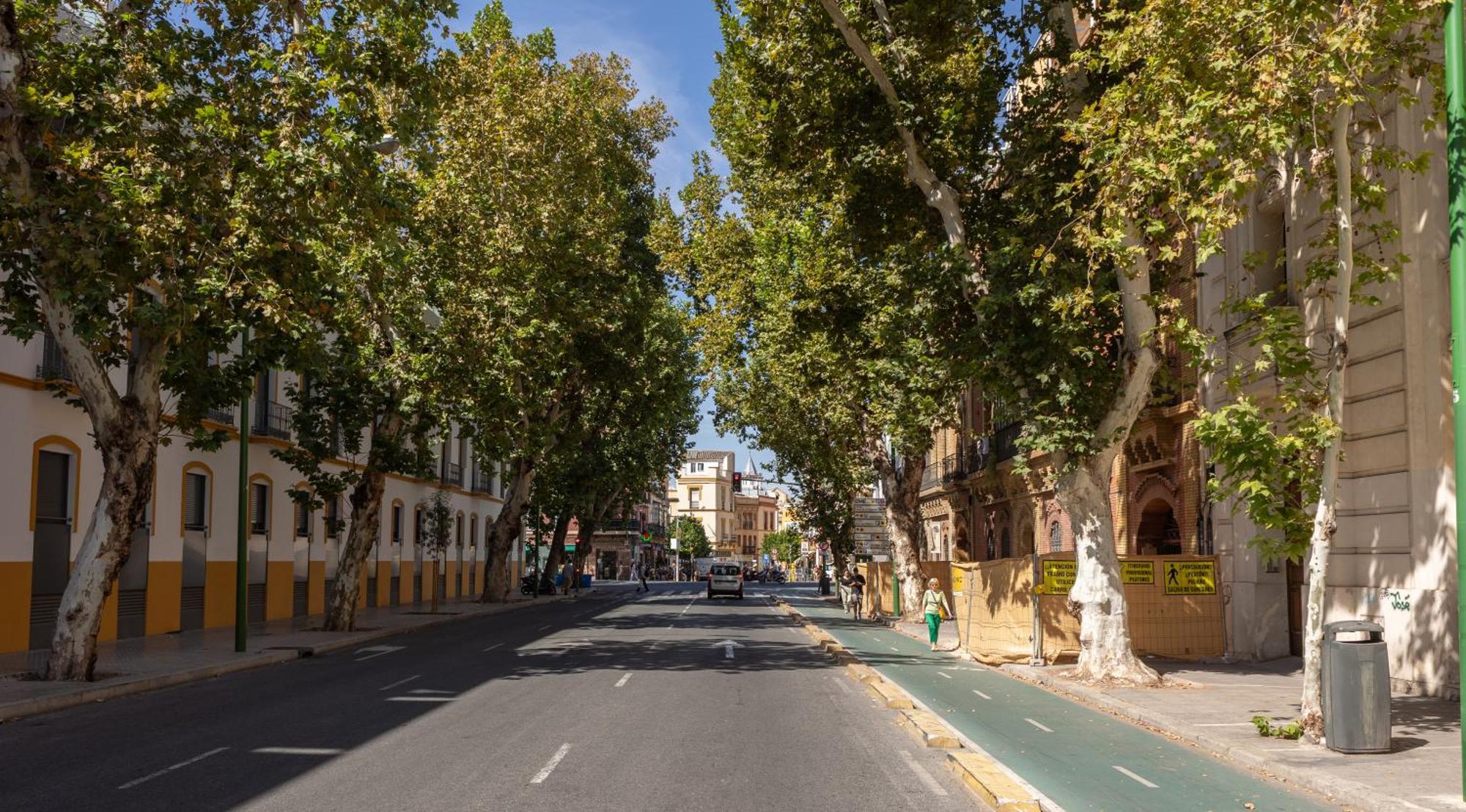 Charming 2 Bedroom Apartment At Sevilla City Center By Ocityzen Екстер'єр фото
